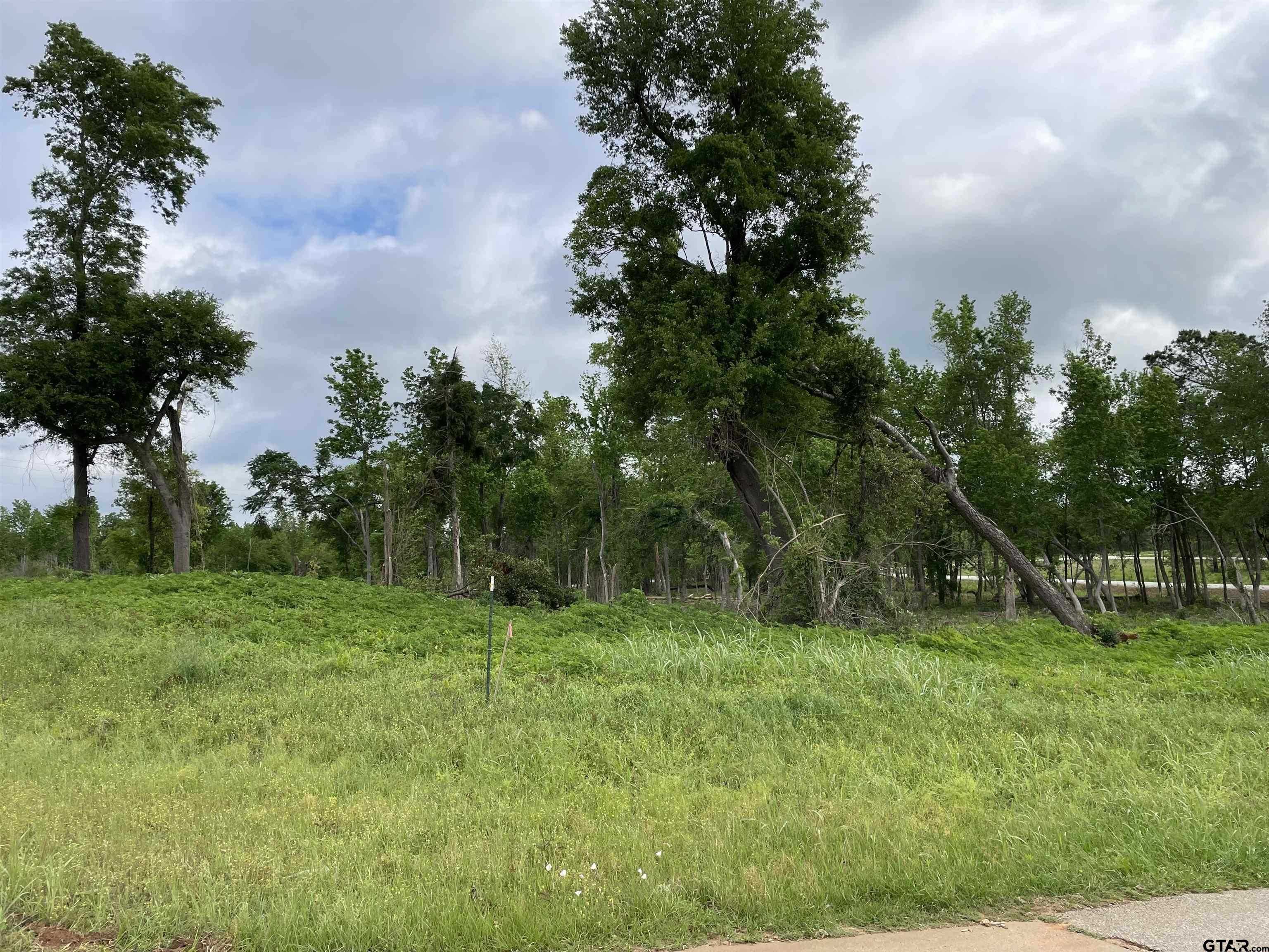 photo 3: TBD CR 2426/Oak Lot 2, Alto TX 75925