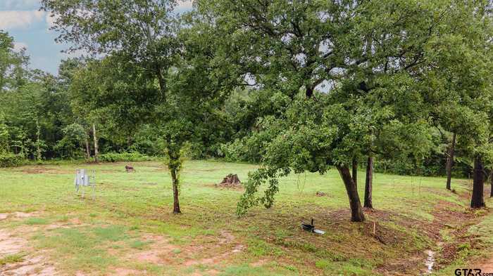 photo 2: Lot 49 Private Road 7011, Frankston TX 75763