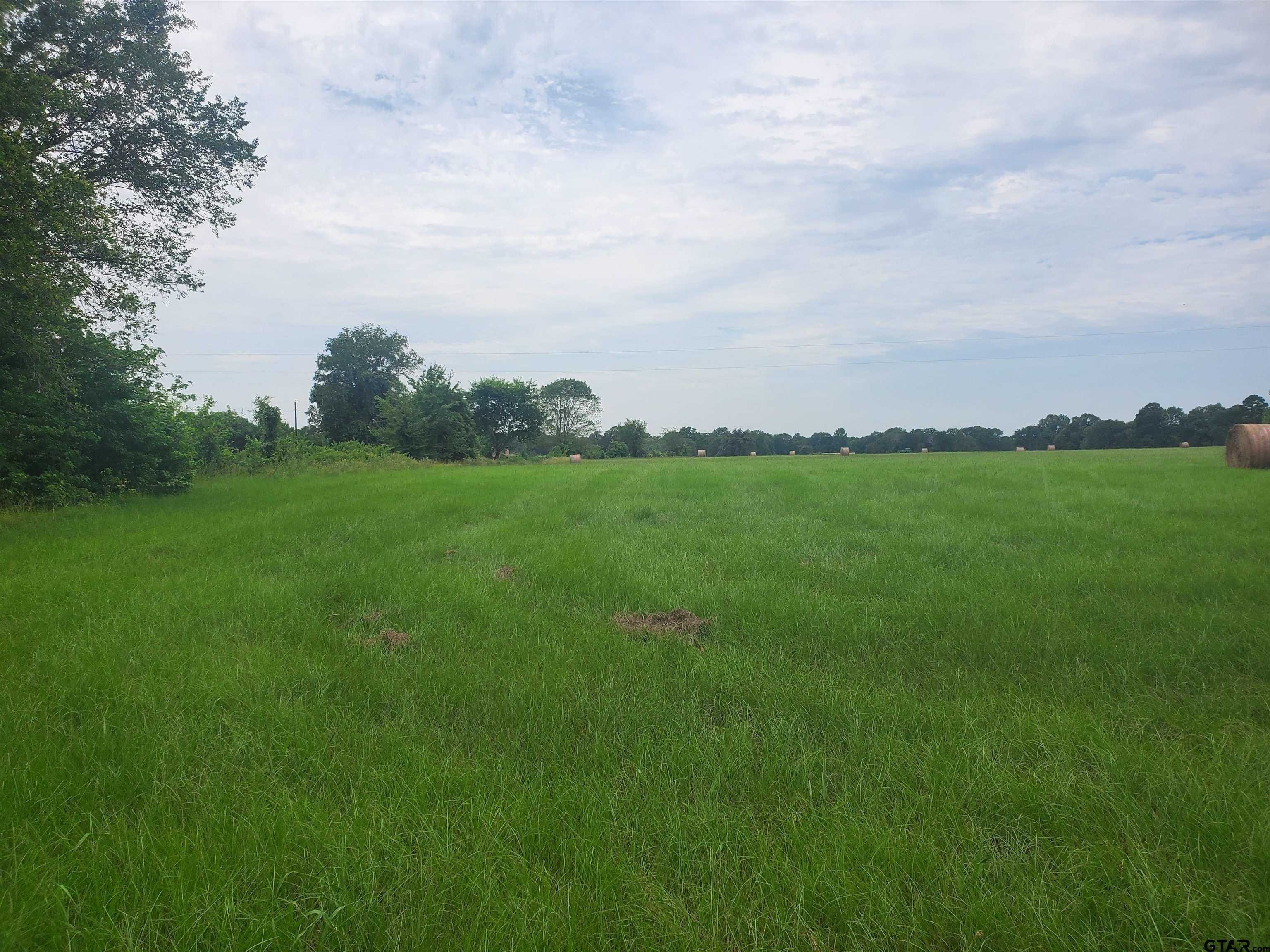 photo 2: TBD CR 4221, Frankston TX 75763