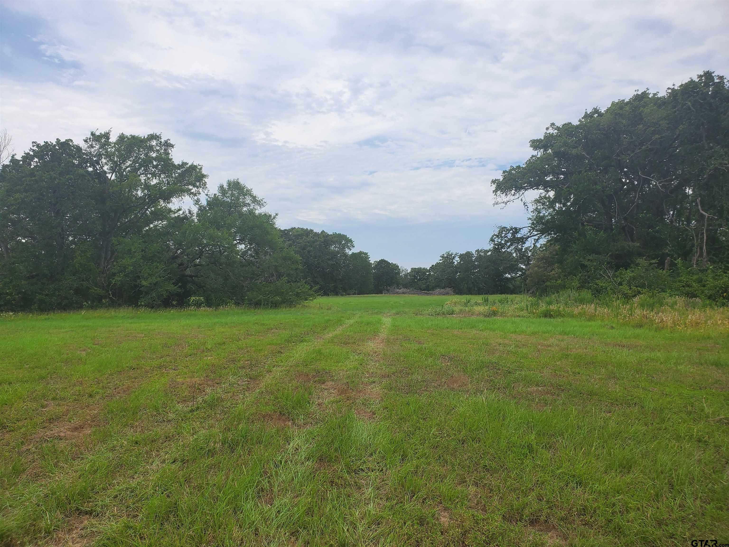 photo 1: TBD CR 4221, Frankston TX 75763