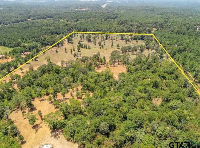 photo 25: LOT 1 COUNTY ROAD 358, Winona TX 75792