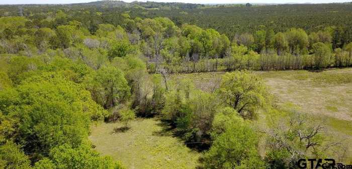 photo 33: 00 CR 3115 Listing #2, Frankston TX 75763