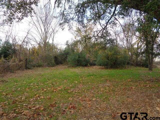 photo 3: 817 Carver, Winnsboro TX 75494