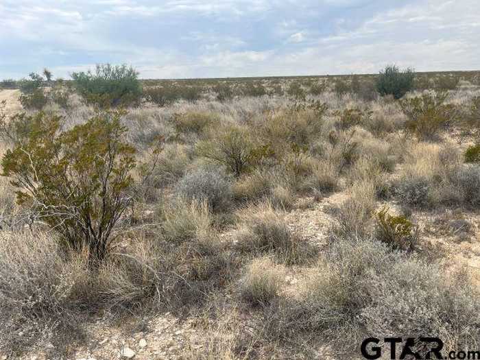 photo 1: 14760 Rogers pid, Terlingua TX 79852