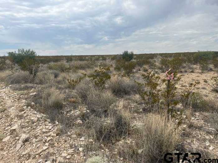 photo 2: 14760 Rogers pid, Terlingua TX 79852