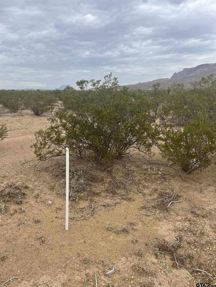 photo 2: 14833 Carico 14833, Terlingua TX 79852