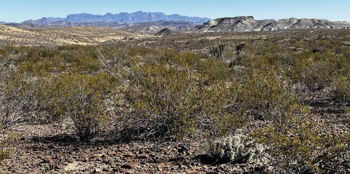 photo 1: 24423 Fellers Trail Rd. pid 24423, Terlingua TX 79852