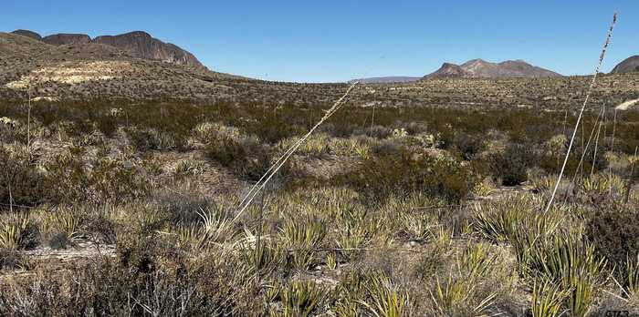 photo 5: 24423 Fellers Trail Rd. pid 24423, Terlingua TX 79852