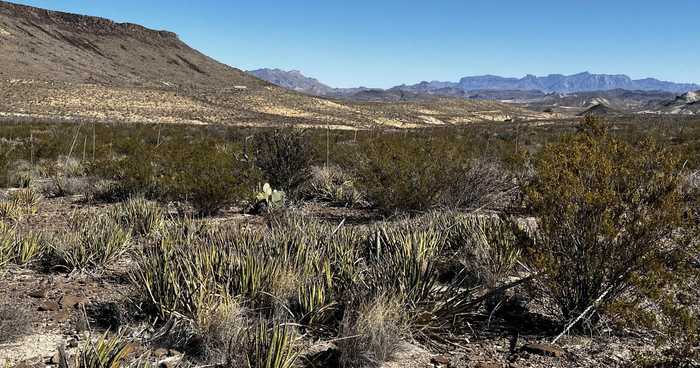 photo 2: 24424 Fellers Trail Rd. pid 24424, Terlingua TX 79852