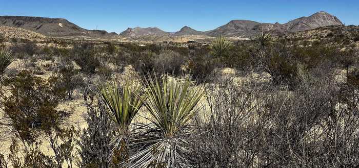 photo 1: 24387 Echo Rd. 24387, Terlingua TX 79852