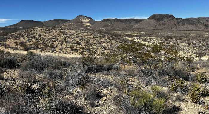 photo 2: 24387 Echo Rd. 24387, Terlingua TX 79852