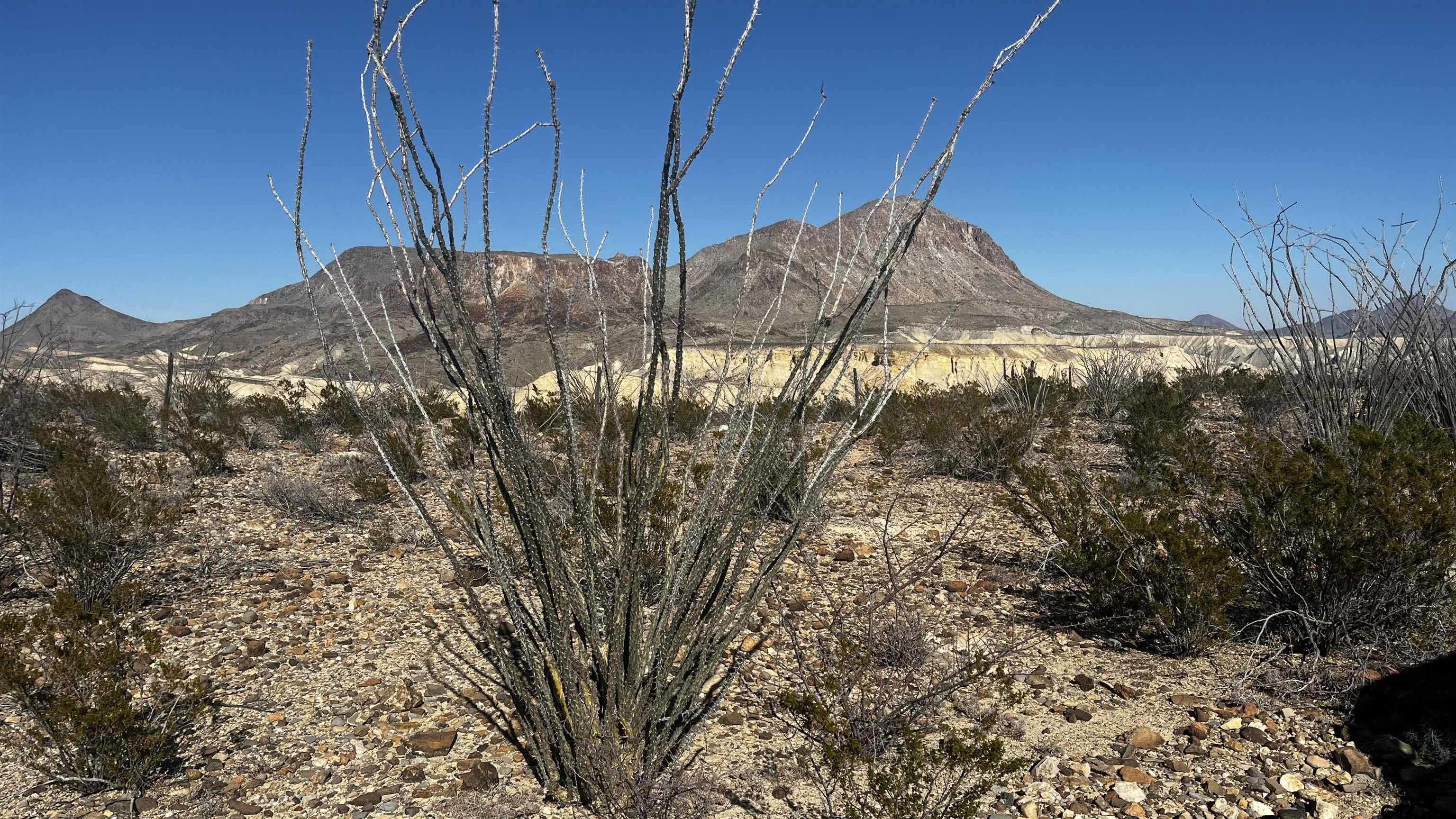 photo 1: 26946 Creekview pid 26946, Terlingua TX 79852