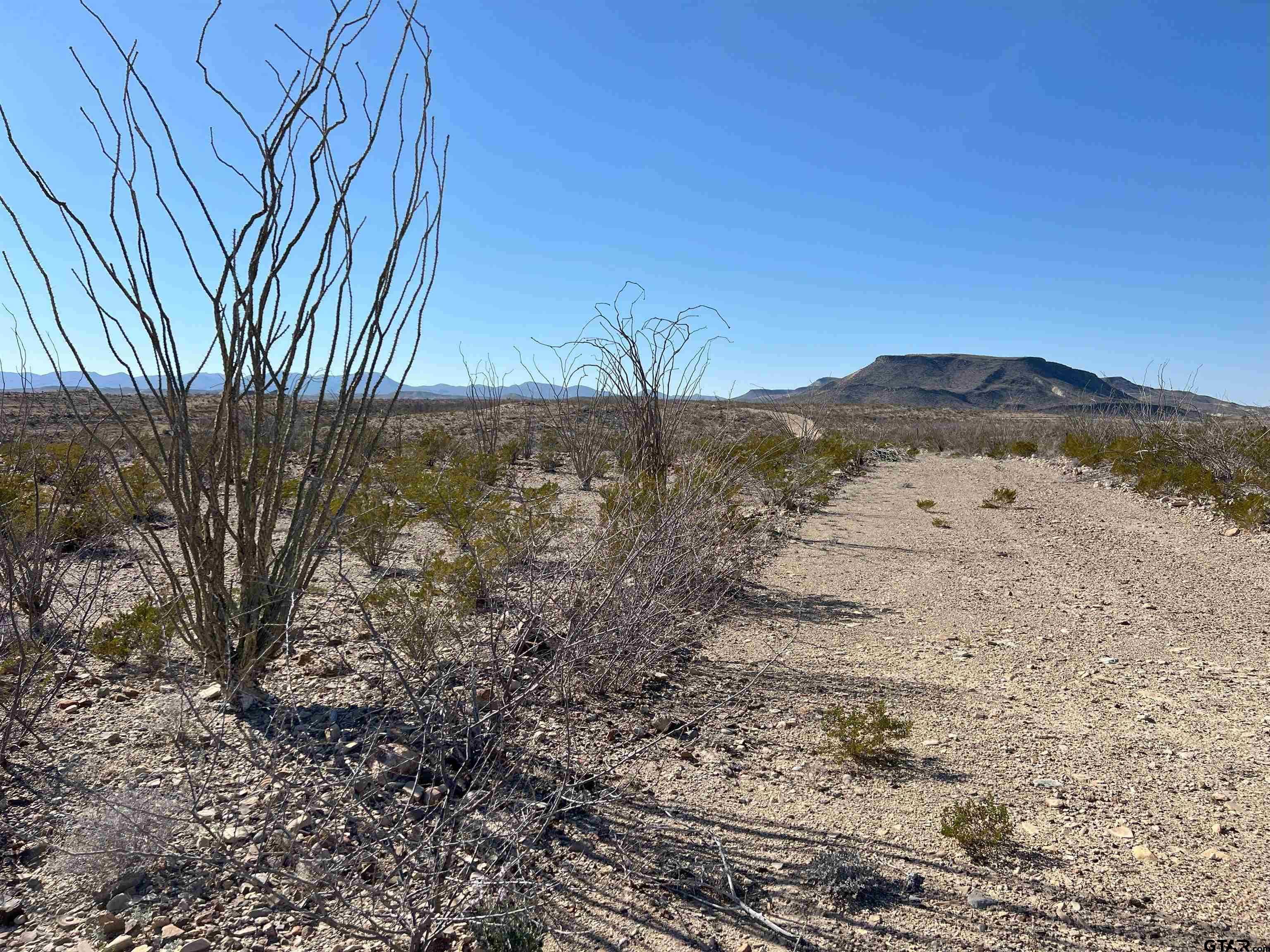 photo 3: 26946 Creekview pid 26946, Terlingua TX 79852