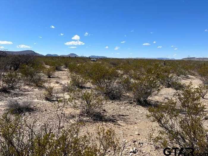 photo 2: 31466 Ringtail pid, Terlingua TX 79852