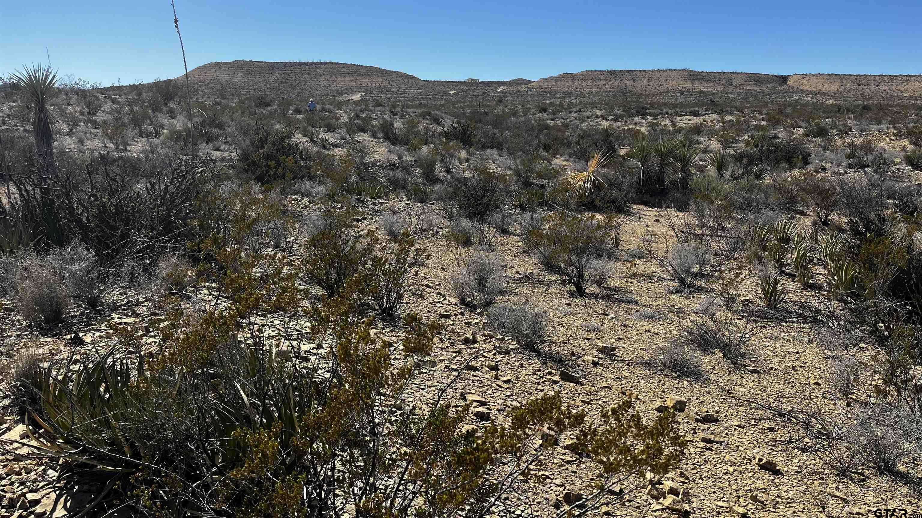 photo 3: 24482 Raven pid 24482, Terlingua TX 79852