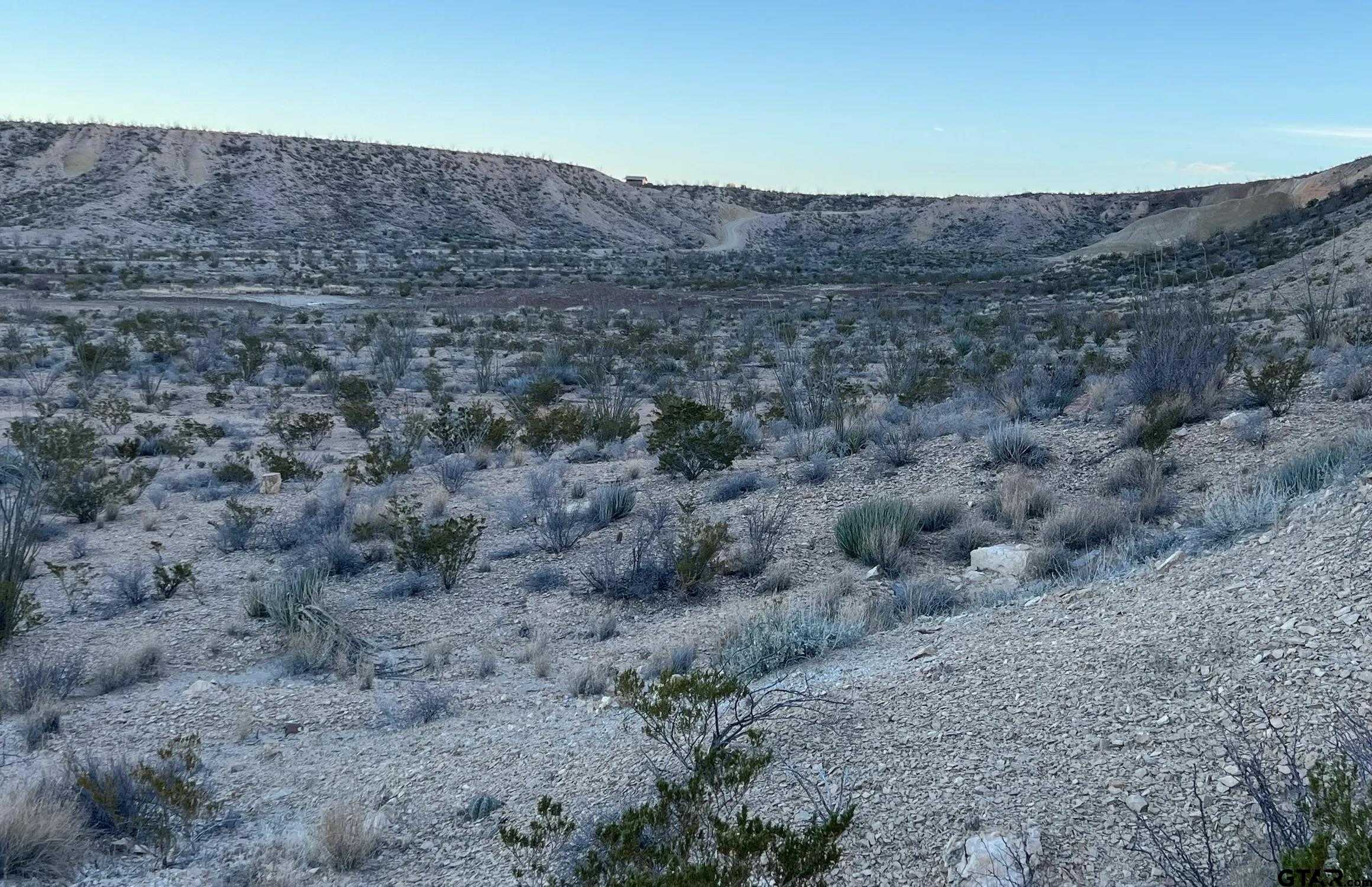 photo 1: 26503 Herman's Peak Rd. pid 26503, Terlingua TX 79852