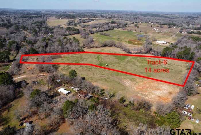 photo 4: 782 CR 1511 Tract 6, Jacksonville TX 75766