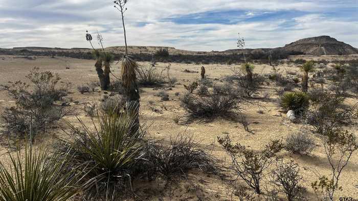 photo 2: Burleson Rd. Pid 13789, Alpine TX 79830