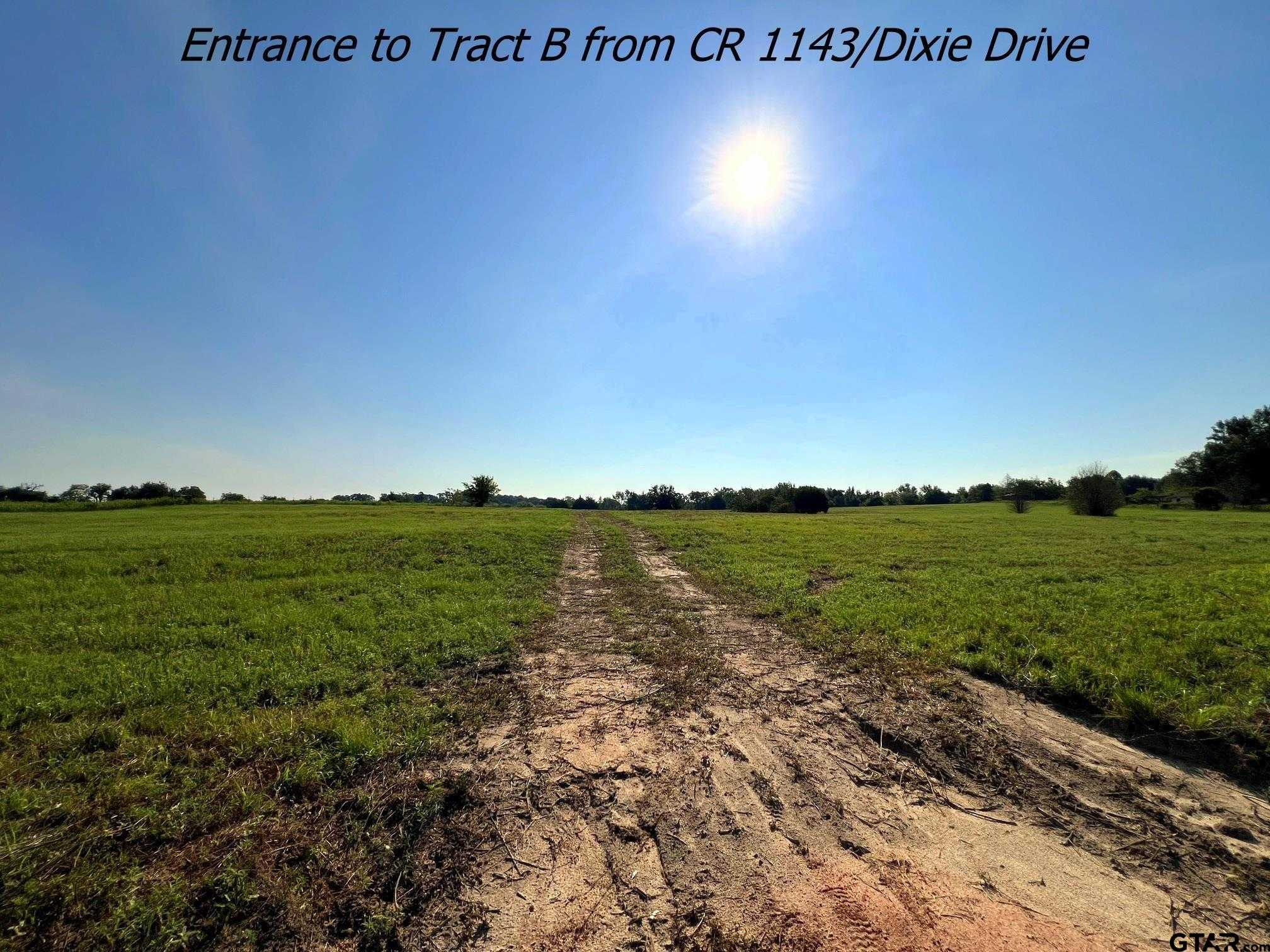 photo 3: TBD @65 acres CR 1143, Tyler TX 75704