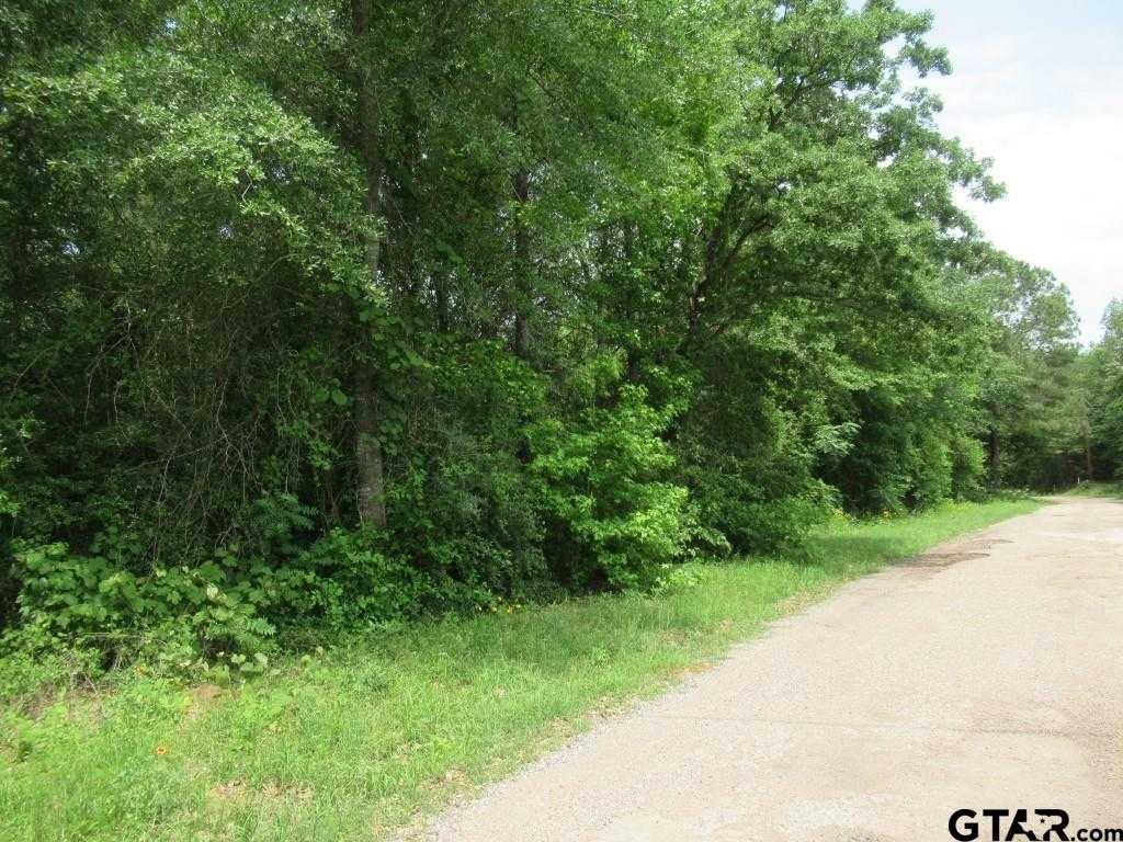 photo 1: 3.54 AC CR 352, Palestine TX 75803