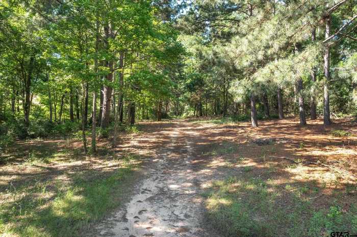 photo 38: 1807 AN County Road 151, Palestine TX 75801