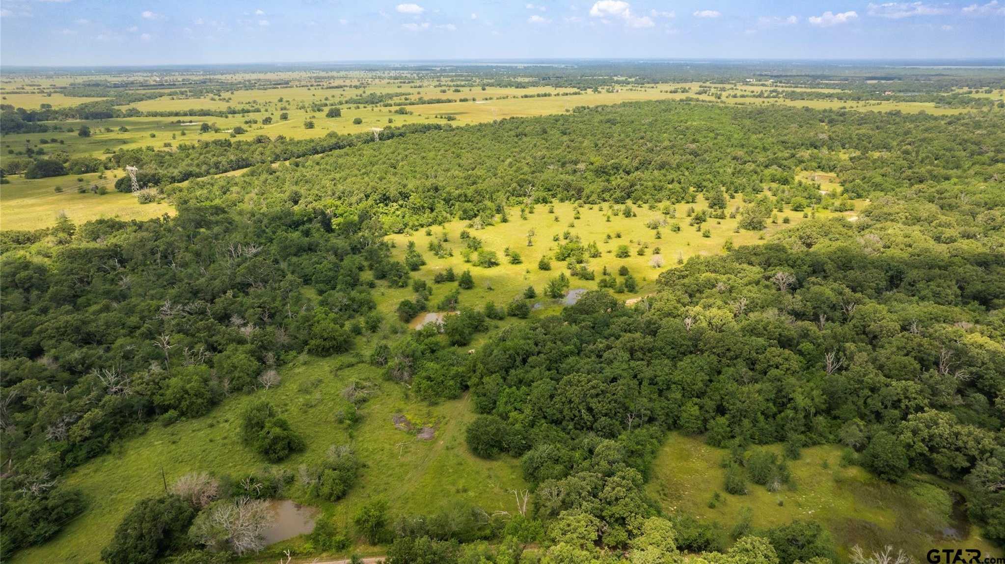 photo 3: 50 Acres County Road 1060, Talco TX 75487