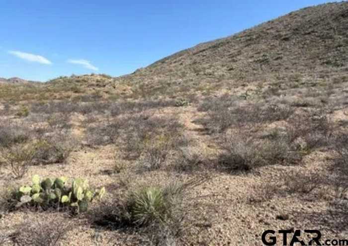 photo 2: 00 Lake Ament- Christmas Wells Tank tract, Terlingua TX 79852