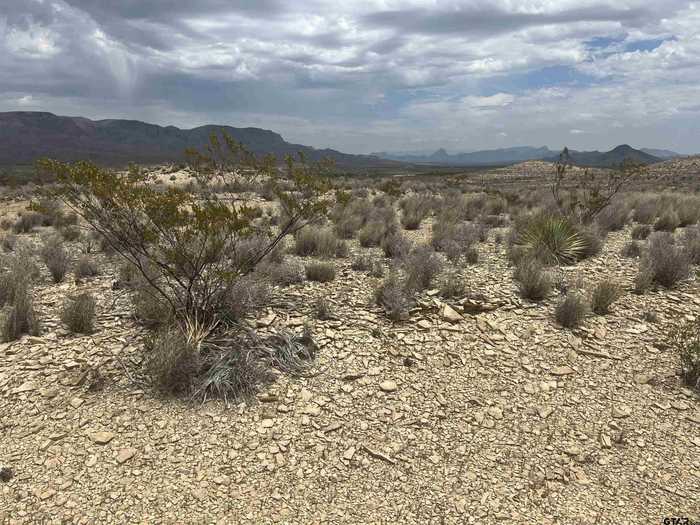 photo 1: 14570 alpha, Terlingua TX 79852