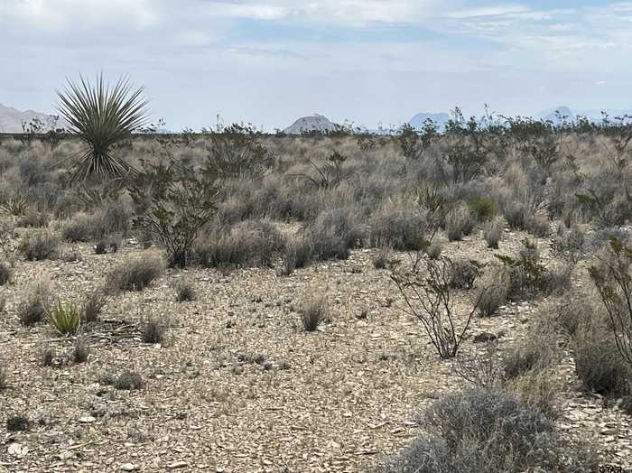 photo 8: 14570 alpha, Terlingua TX 79852