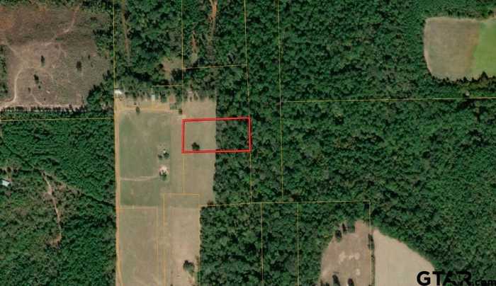 photo 1: 514 Wilcox Dr. lot 2, Rusk TX 75785