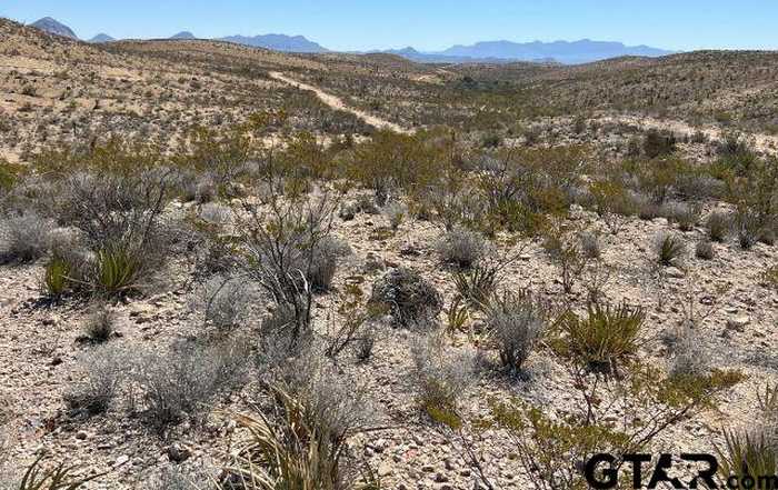 photo 1: 24310 & 311 Blue Ridge, Terlingua TX 79852