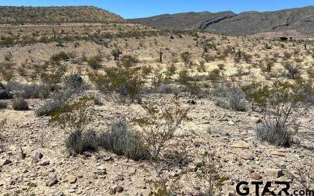 photo 3: 24310 & 311 Blue Ridge, Terlingua TX 79852