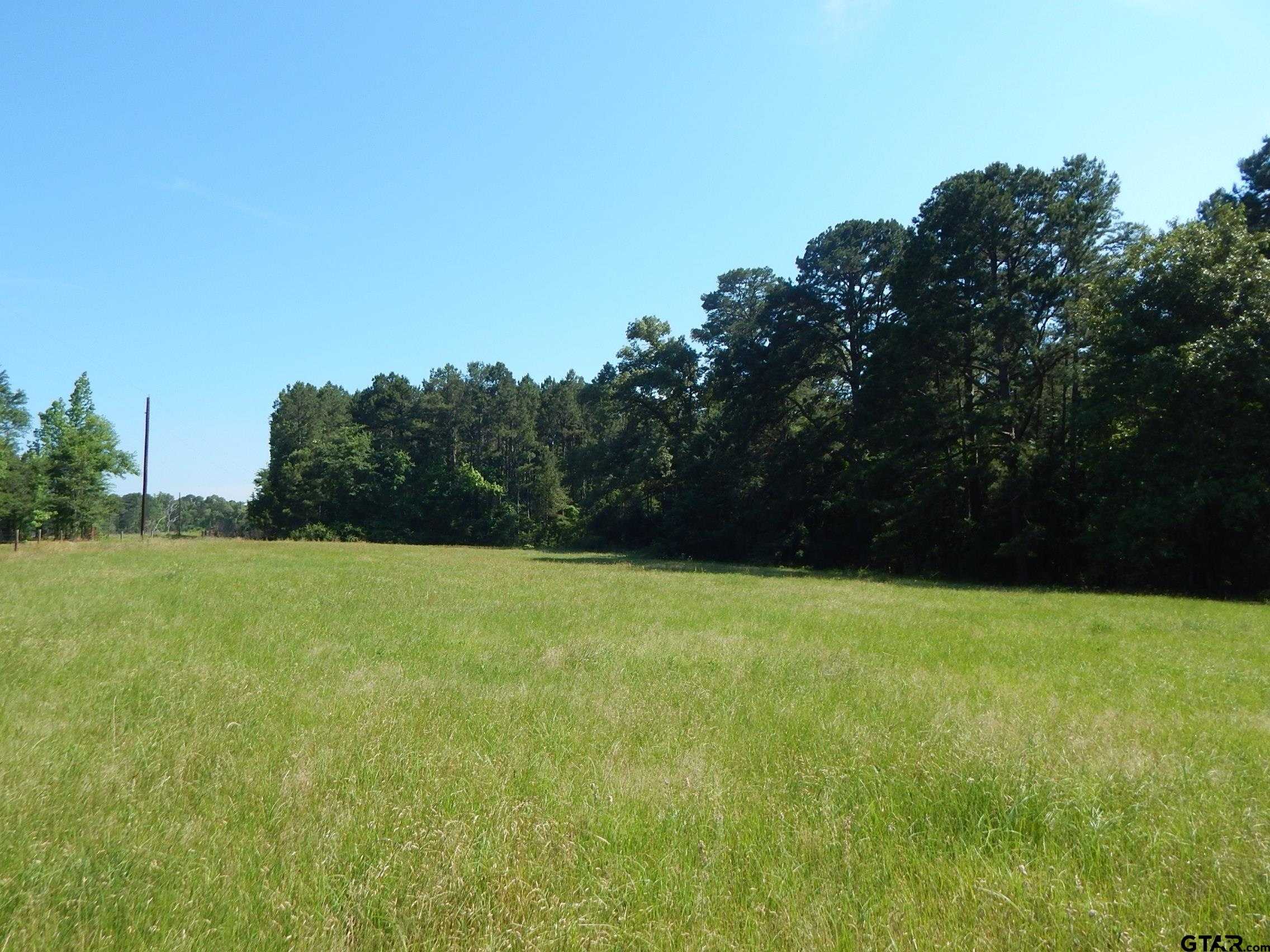 photo 1: TBD CR 3190, Winnsboro TX 75494