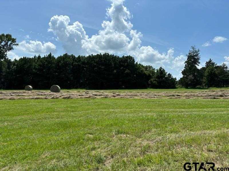 photo 1: TBD CR 1325 LOT 5, Pittsburg TX 75686