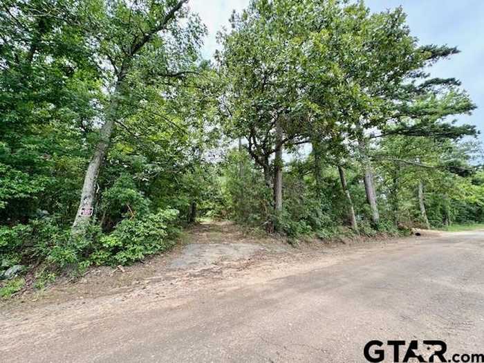 photo 34: TBD STAG TD TRACT 1, Winnsboro TX 75494