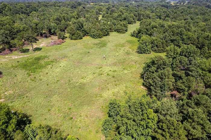 photo 23: TBD STAG RD TRACT 2, Winnsboro TX 75494