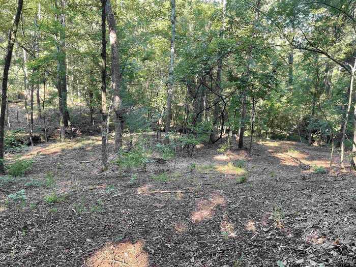 photo 13: TBD County Road 1150 Tract 1, Tyler TX 75704