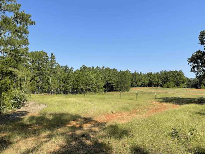 photo 2: TBD County Road 1150 Tract 1, Tyler TX 75704