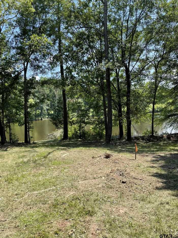 photo 1: Lot 29 TBD County Road 4826, Winnsboro TX 75494