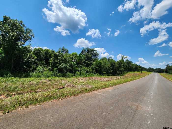 photo 4: TBD Ridgeline Loop, Lot 61, Winona TX 75792