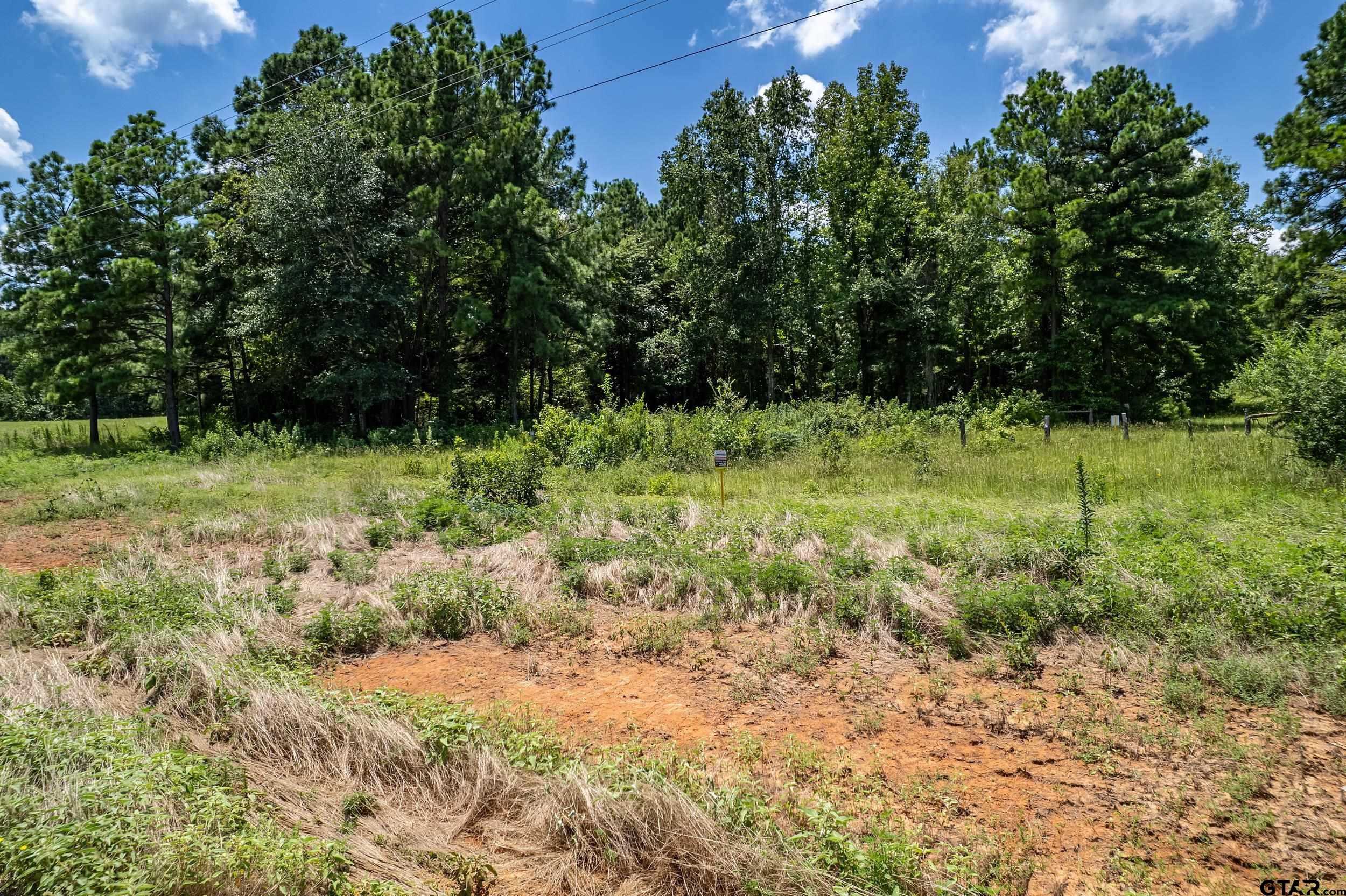 photo 1: Lot 71 Star Mountain, Winona TX 75792