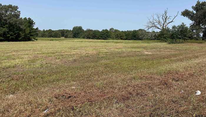 photo 12: Lot 11 Pleasant Ride Rd, Frankston TX 75763