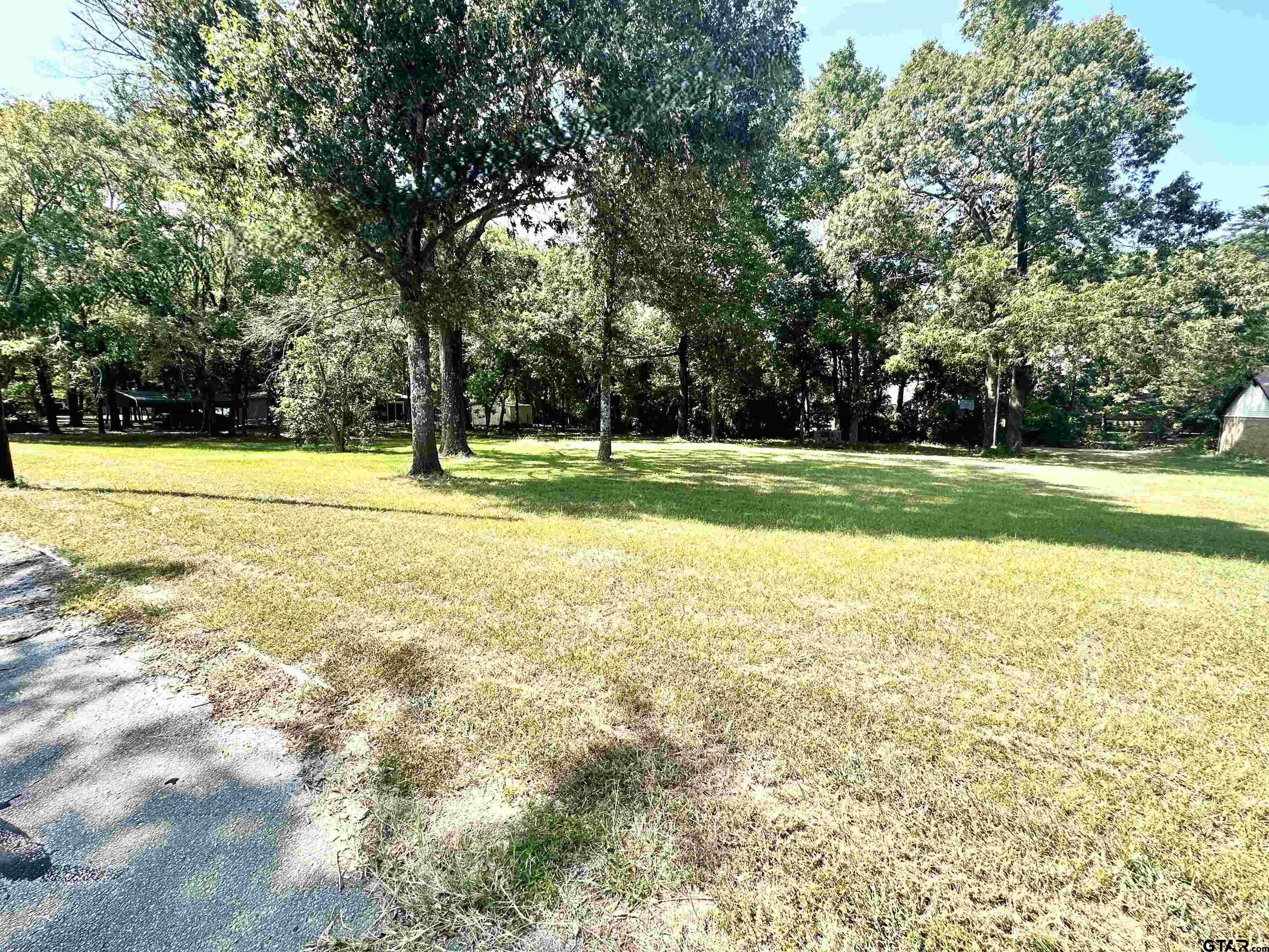 photo 2: Lot 17 Lime St, Frankston TX 75763