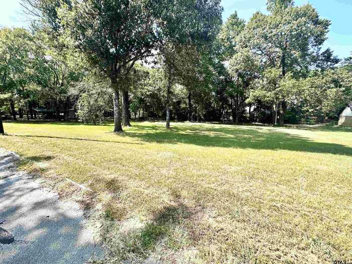 photo 2: Lot 17 Lime St, Frankston TX 75763