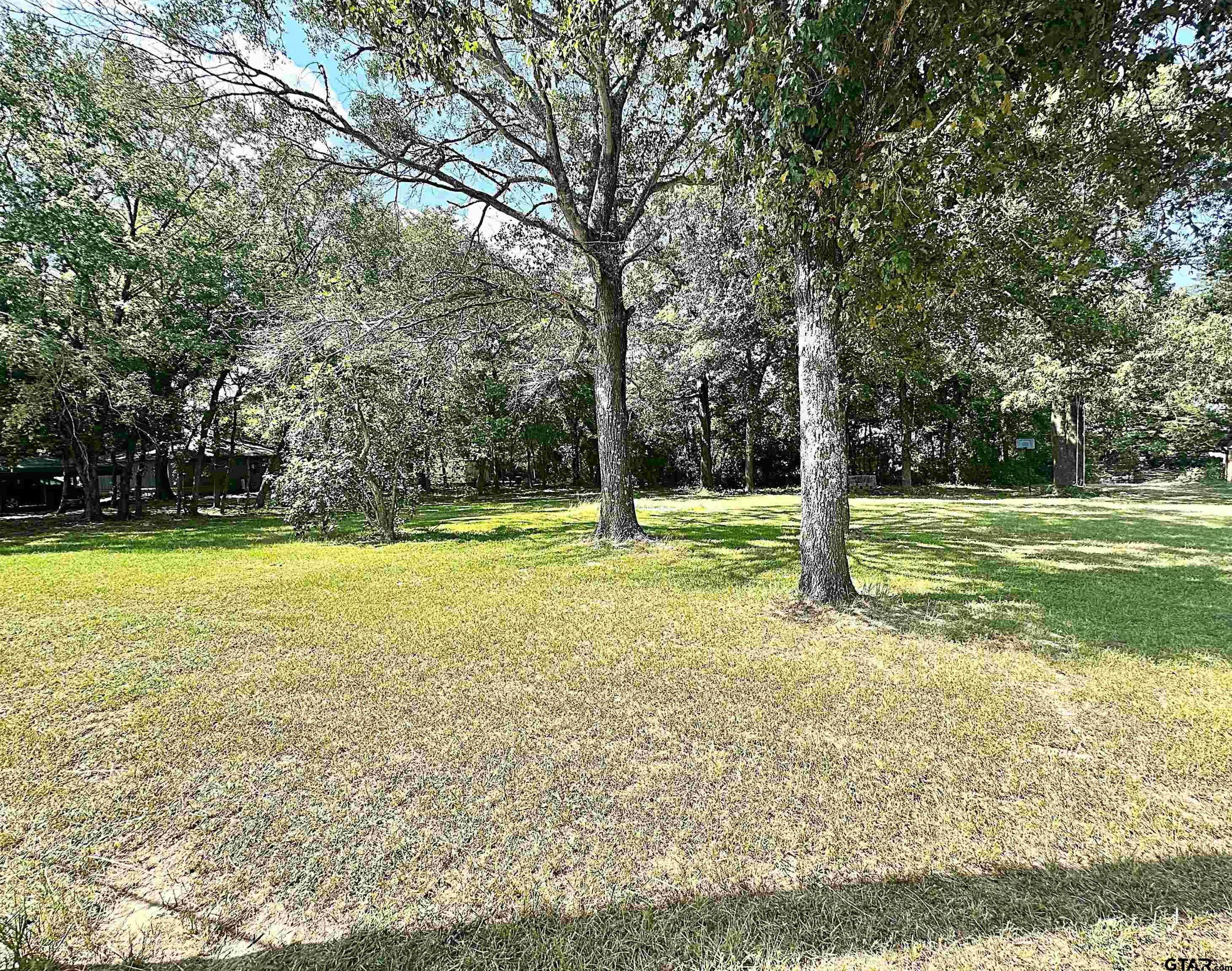 photo 3: Lot 17 Lime St, Frankston TX 75763