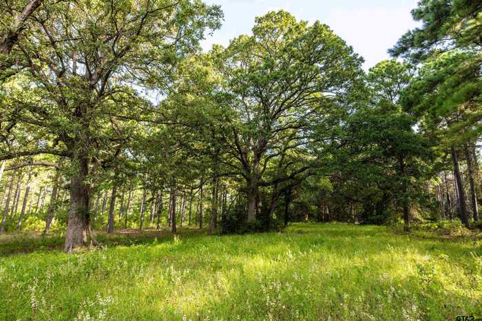 photo 2: Tract 5 Hwy 155, Frankston TX 75763