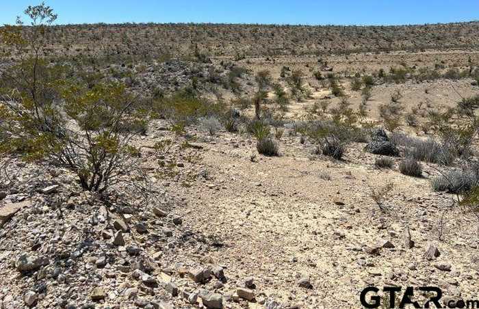 photo 2: 24310 Blue Ridge, Terlingua TX 79852