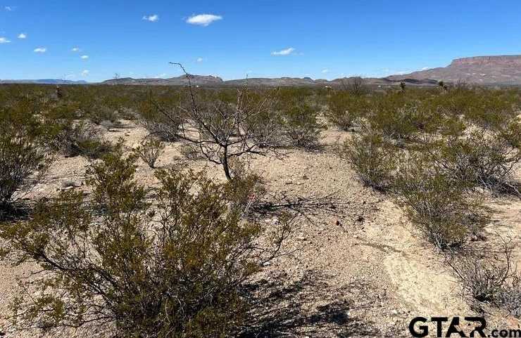 photo 3: 31466a Ringtail pid, Terlingua TX 79852