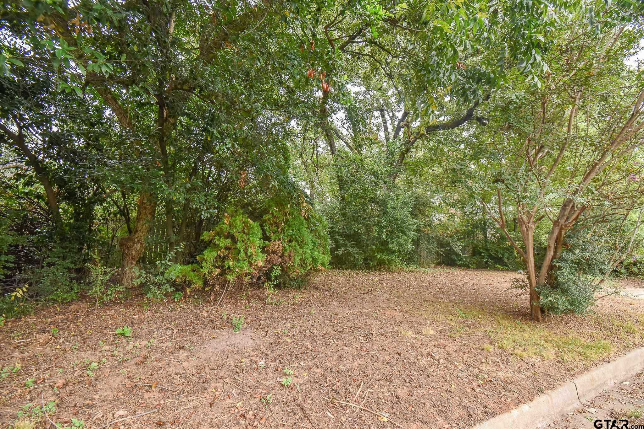 photo 2: TBD Pollard Dr, Tyler TX 75701