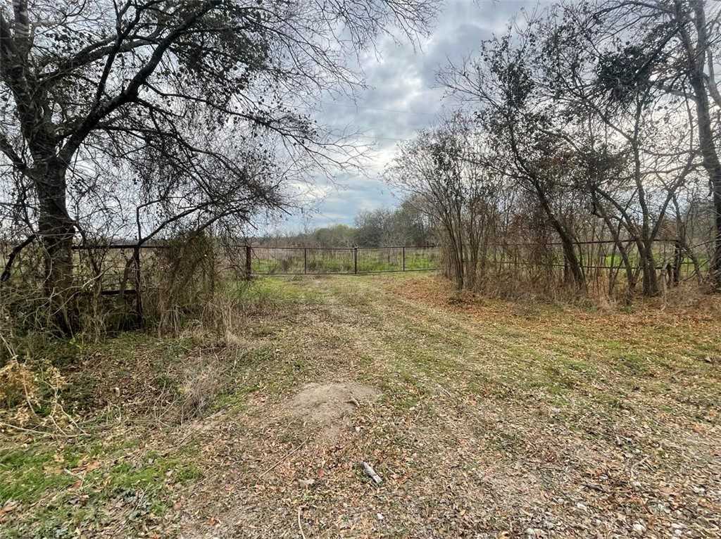 photo 3: TBD CR 243 Road, Kosse TX 76653